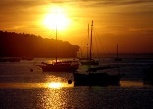 886286_sailboats_at_sunrise.jpg