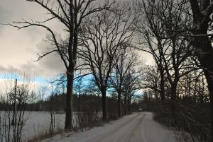 1129495_winter_day 1129495_winter_day