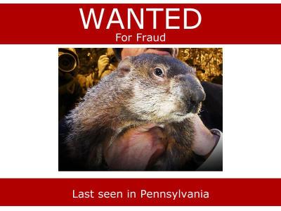 302138_10151137937339364_883970666_n