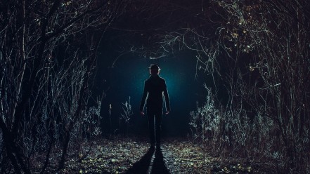 dark_forest_path_shadows_m44453