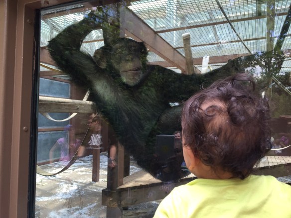 01a9664c121e962d9590244ffca3445d8b21a2b76b