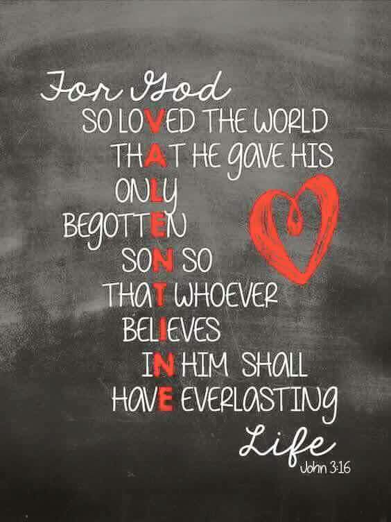 12715582_10153942175714784_5968726753435057400_n