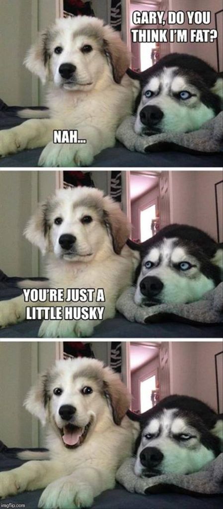 Husky