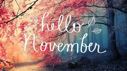 hello_november_01