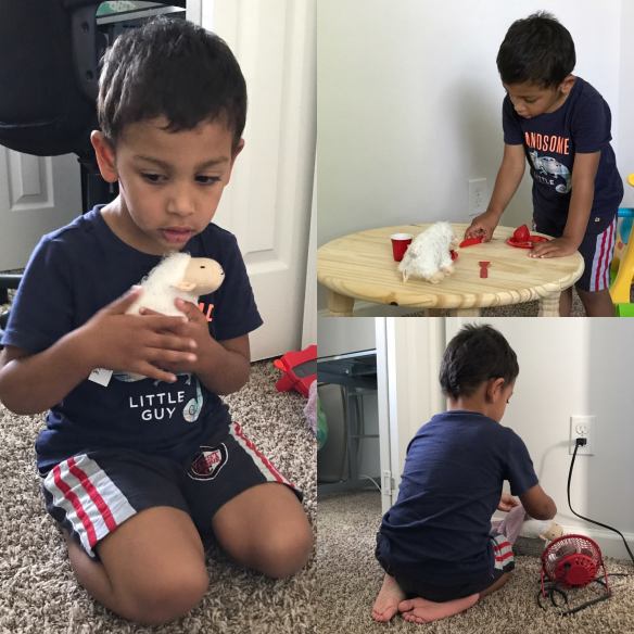 18192288_10154419713891820_3432126464564398433_o