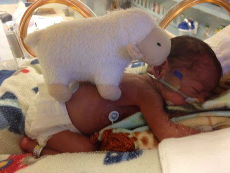 18194691_10154419713351820_3635529915206968186_n