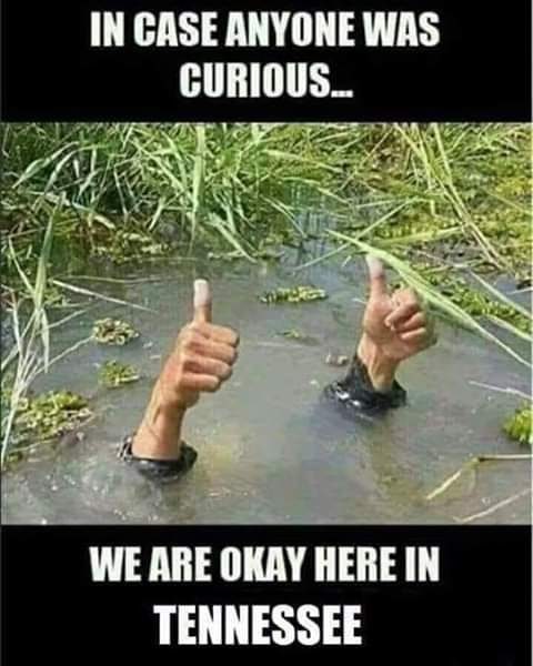 52668825_2227586430612858_89316606584291328_n