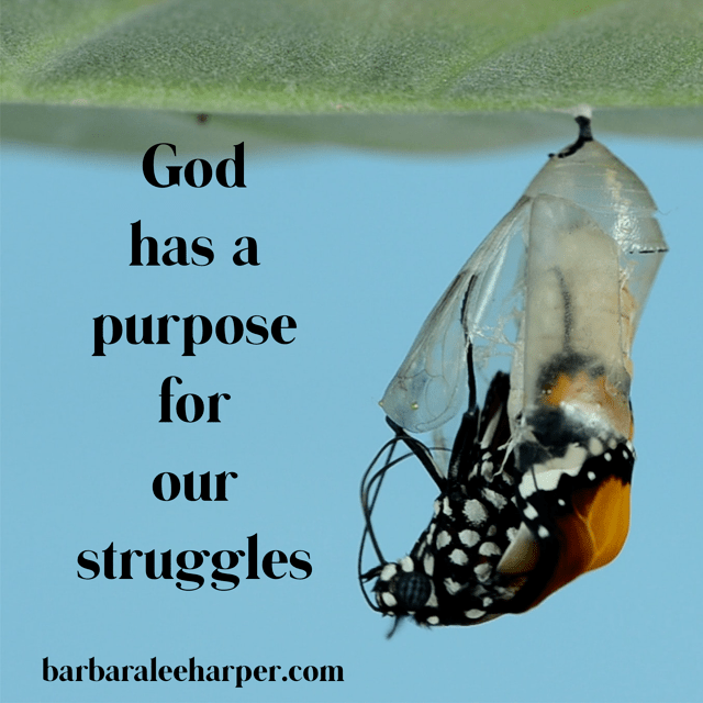God's purpose in our struggles