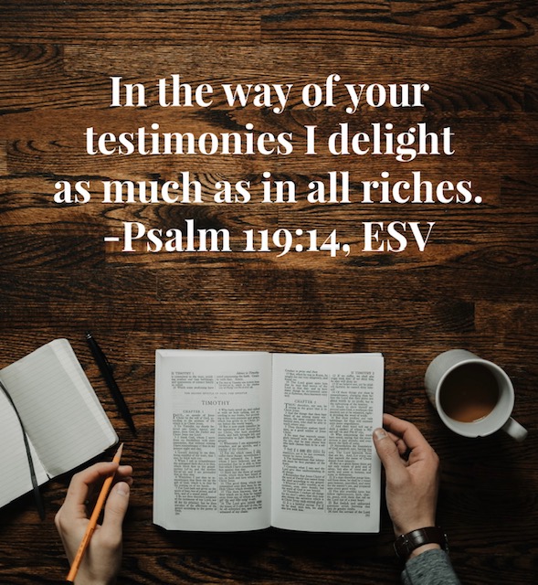 I delight in God's Word