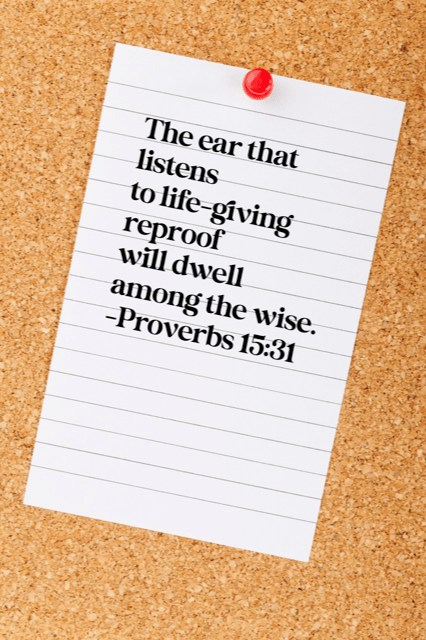 Wise people listen to criticism