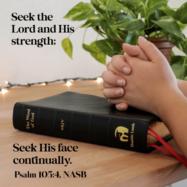 Seek the Lord