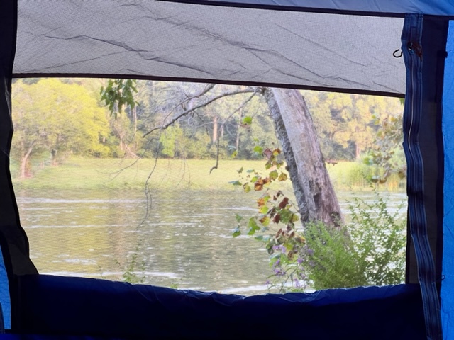 View from tent window