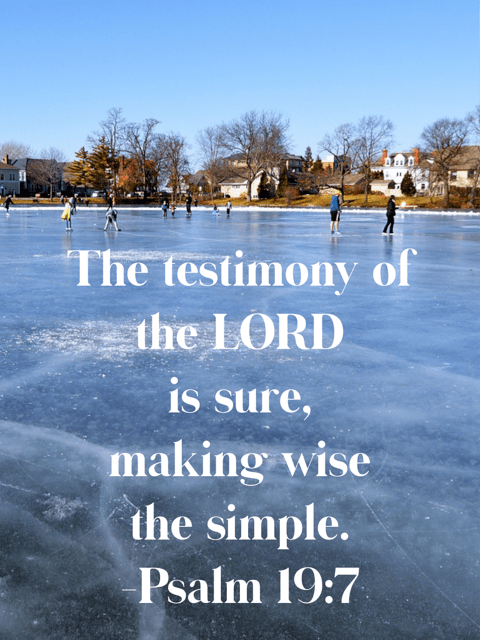 Psalm 19:7: The testimony of the LORD is sure.