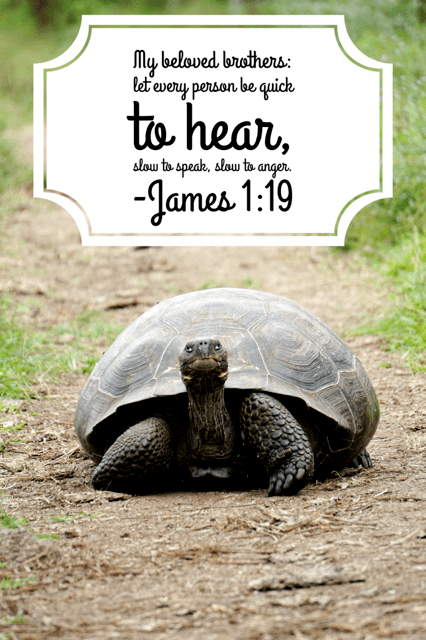 Be quick to hear, slow to speak, slow to anger. James 1:19