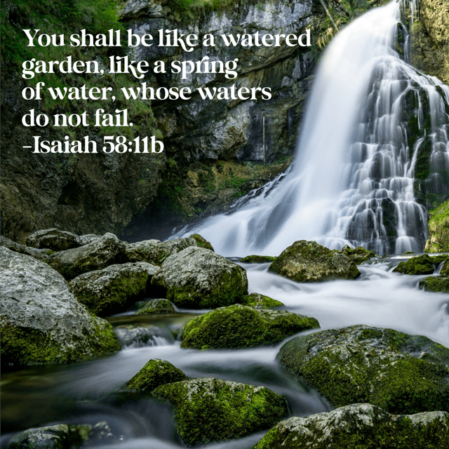You shall be like a watered garden. Isaiah 58:11b