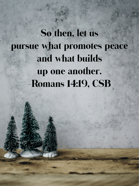 Romans 14:19, CSB