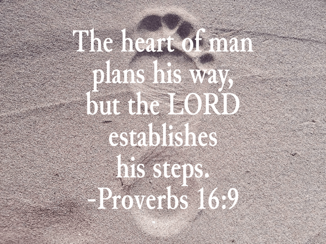 The heart of man plans his way, but the LORD directs his steps. Proverbs 16:9