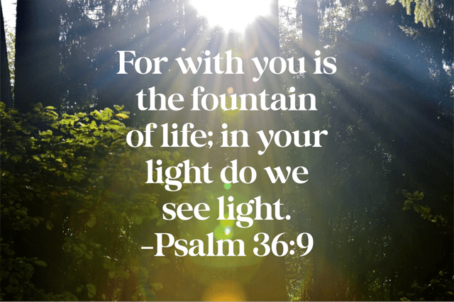 Psalm 36:9
