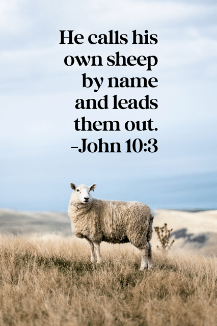 He calls his own sheep by name and leads them out. John 10:3.