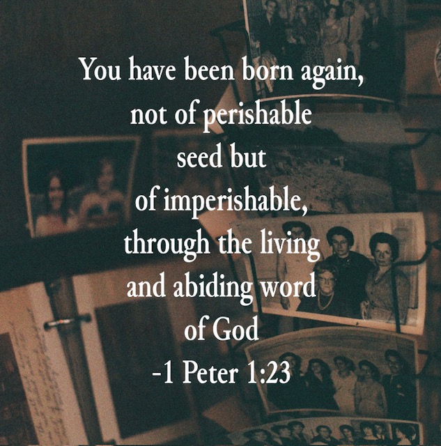 1 Peter 1:23