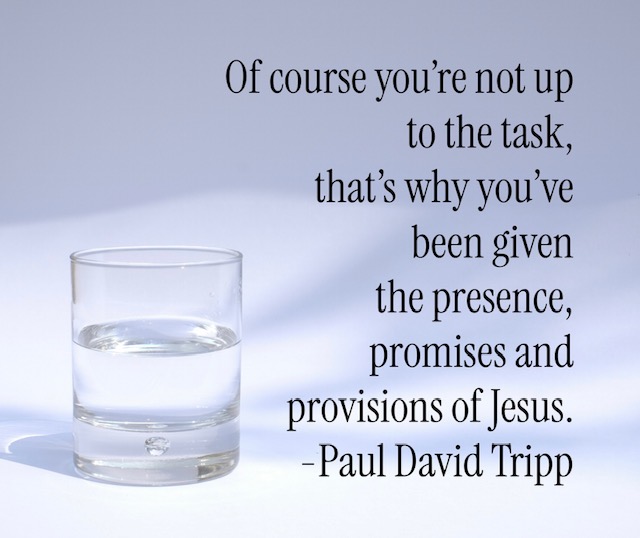 Paul Tripp quote