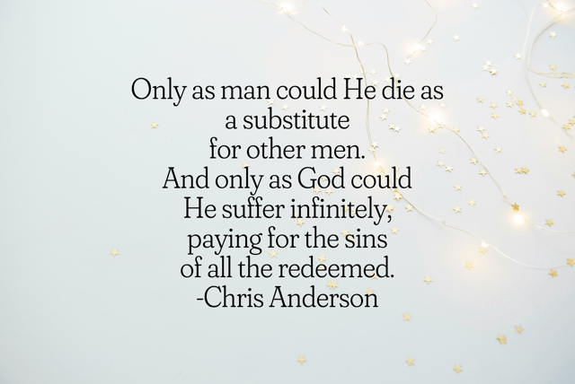 Chris Anderson quote