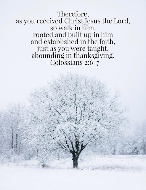 Colossians 2:6-7