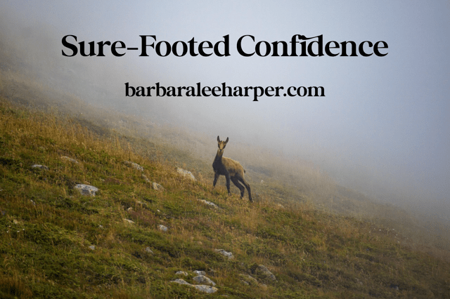 Sure-footed confidence