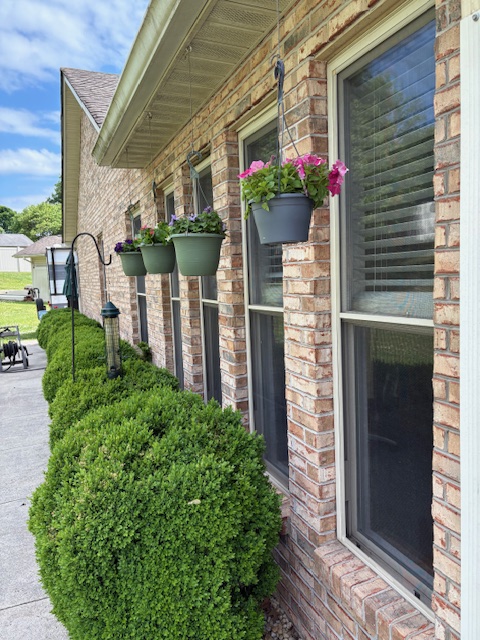 Hanging flower baskets
