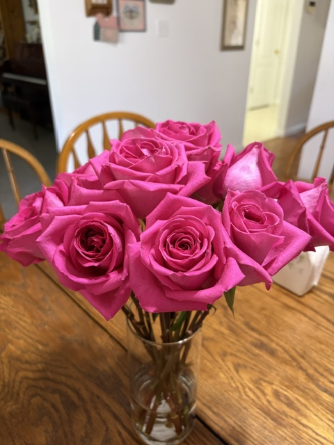 Pink roses