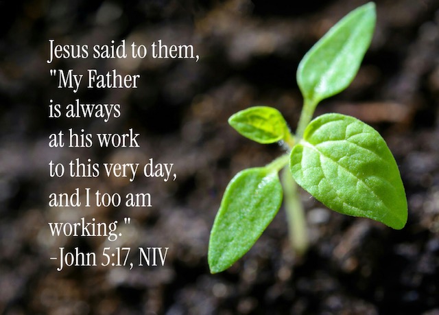 John 5:17